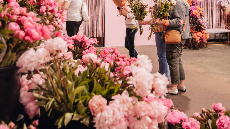 Bunches of bright pink peonies. 