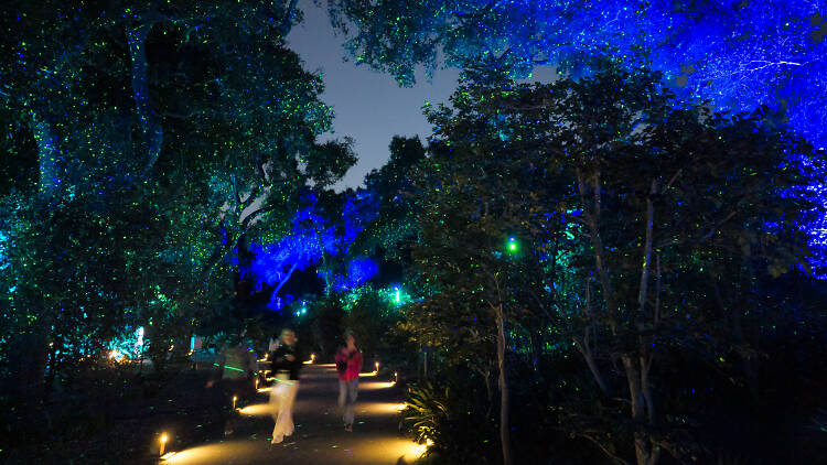 Earth Day Native Blooms Display - Descanso Gardens