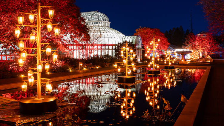 Lightscape at Brooklyn Botanic Garden