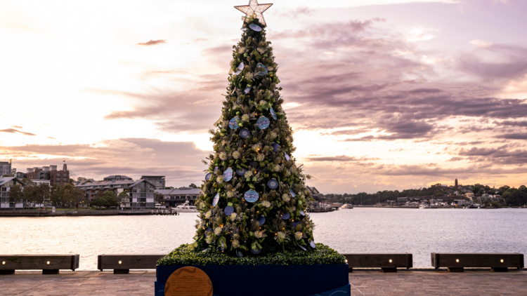 Christmas Tree in Barangaroo