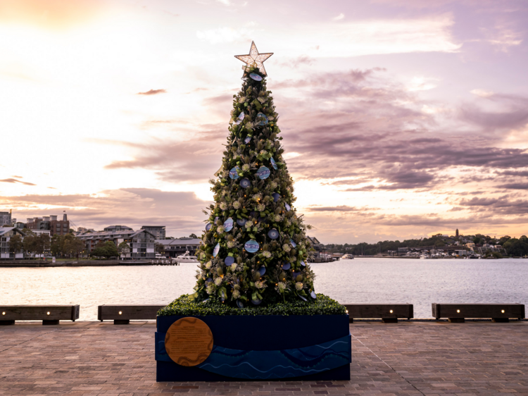 Christmas Tree in Barangaroo