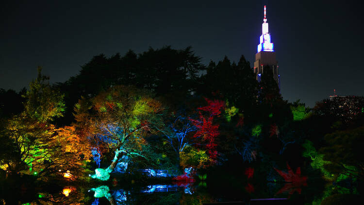 Naked Autumn Night Garden at Shinjuku Gyoen