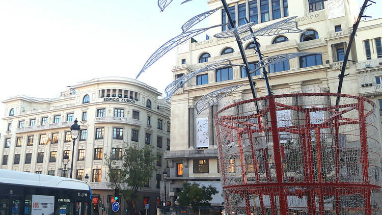 Flor de Pascua Navidad Madrid