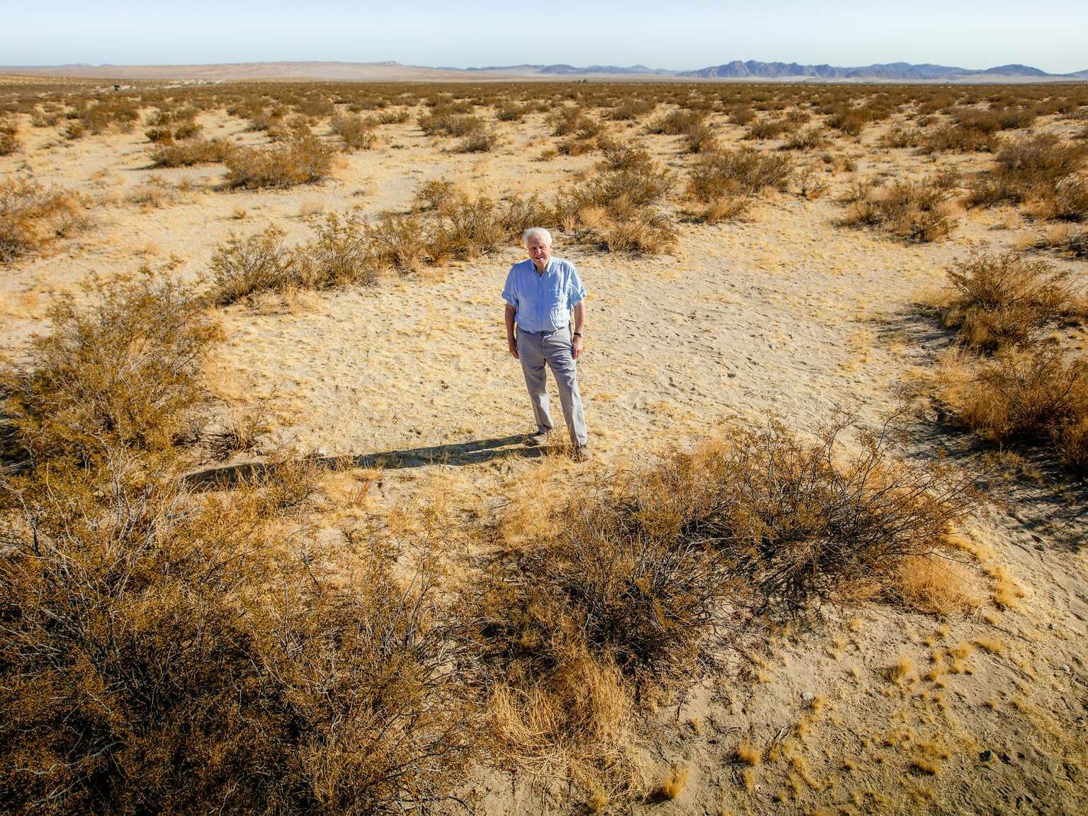 16 Best David Attenborough Documentaries And Where To Watch Them