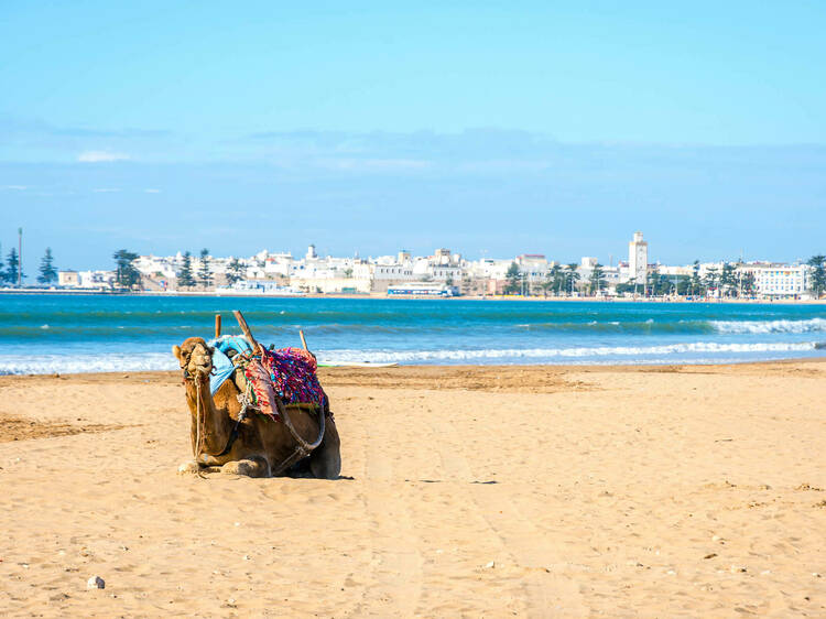 Essaouira (Marruecos)