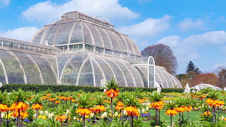 The Palm House at Kew Gardens