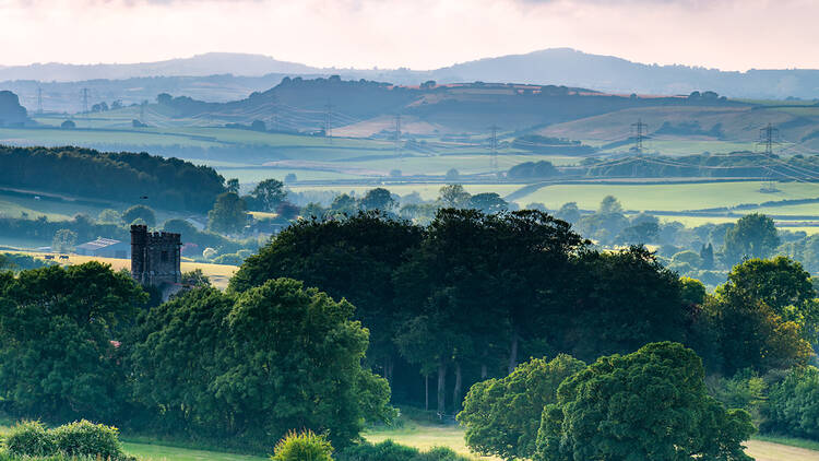 DOrset countryside