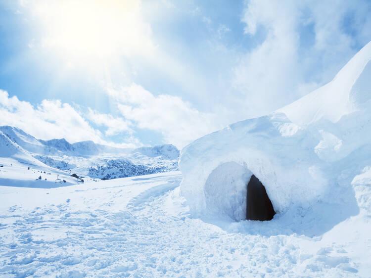 Virtual Winter Team Escape: The Arctic Circle