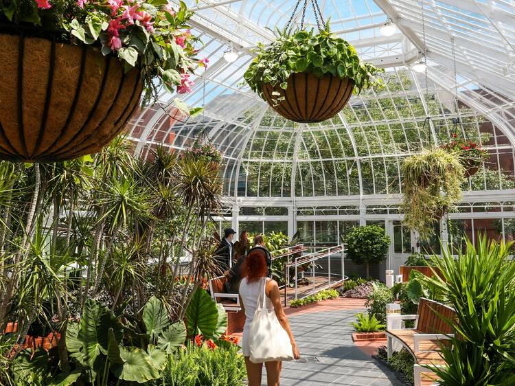 Westmount Conservatory and Greenhouses