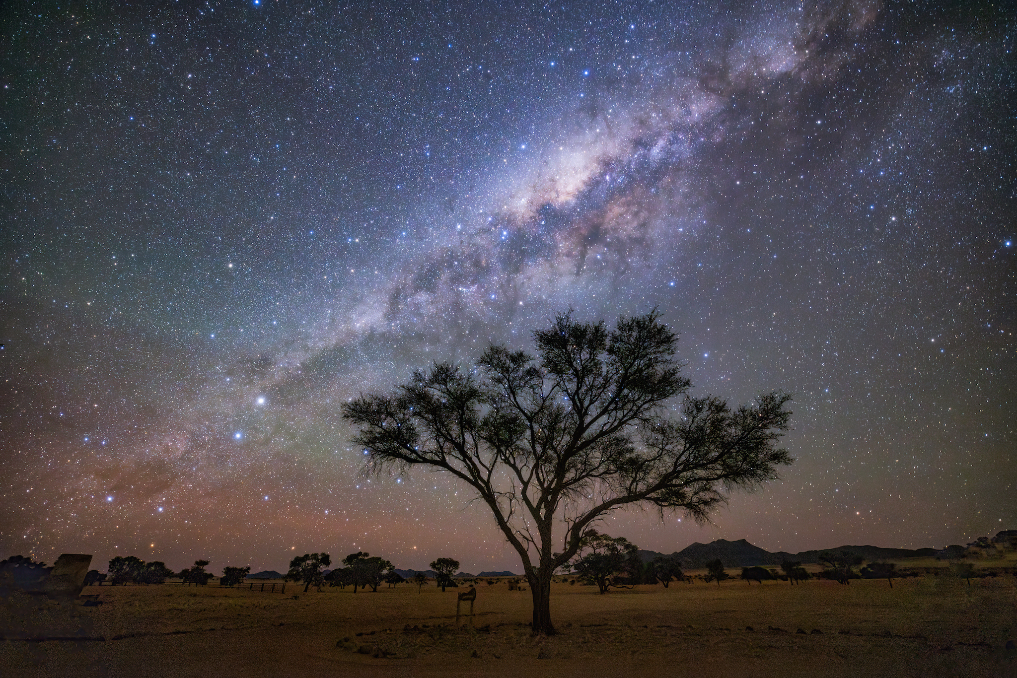 Top tips for stargazing on a clear night sky