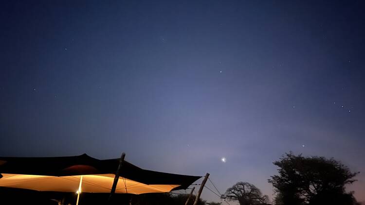 Ruaha National Park, Tanzania