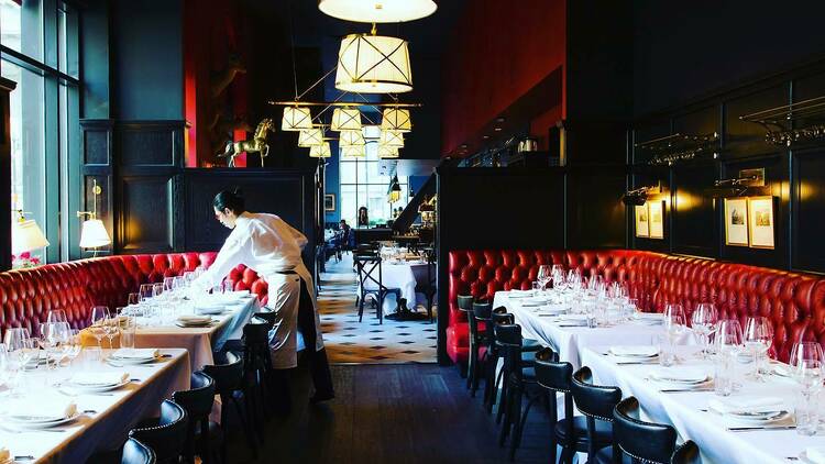 The Cavalier The Cavalier