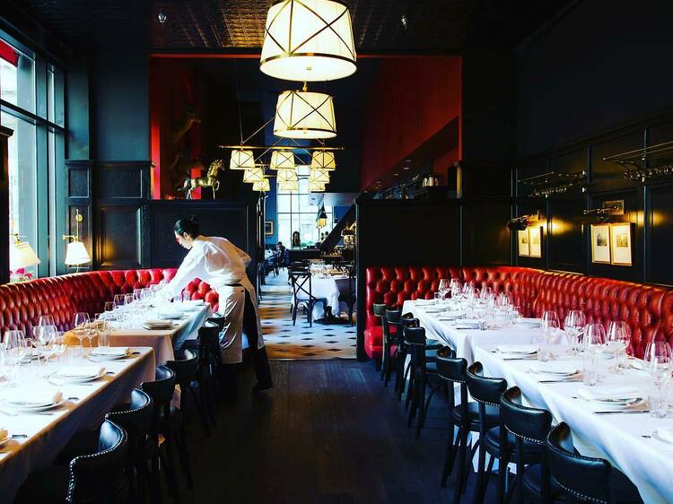 The Cavalier The Cavalier