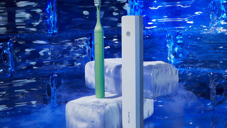 Suri Sustainable Electric Toothbrush