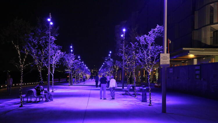 Wulugul Walk, Barangaroo