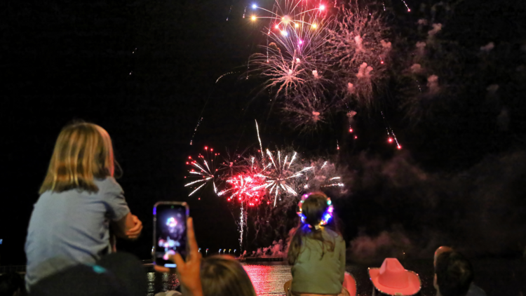 Families watch fireworks over the water