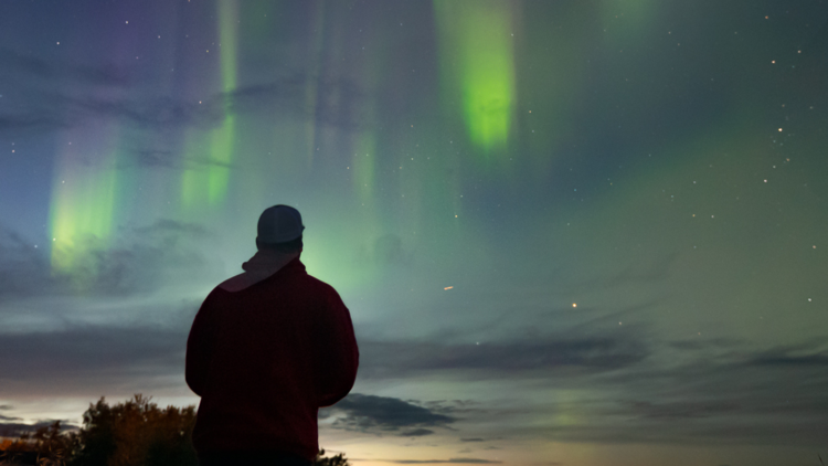 aurora australis | southern lights