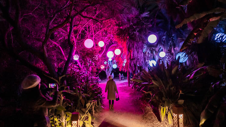 A trail lit up with purple lights.