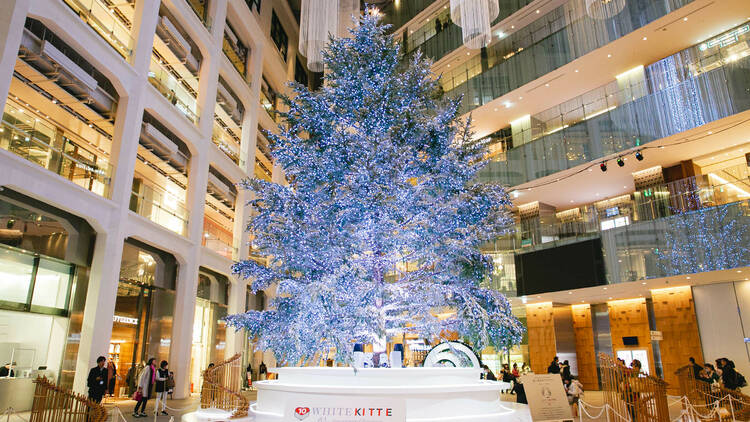 Christmas Tree at White Kitte