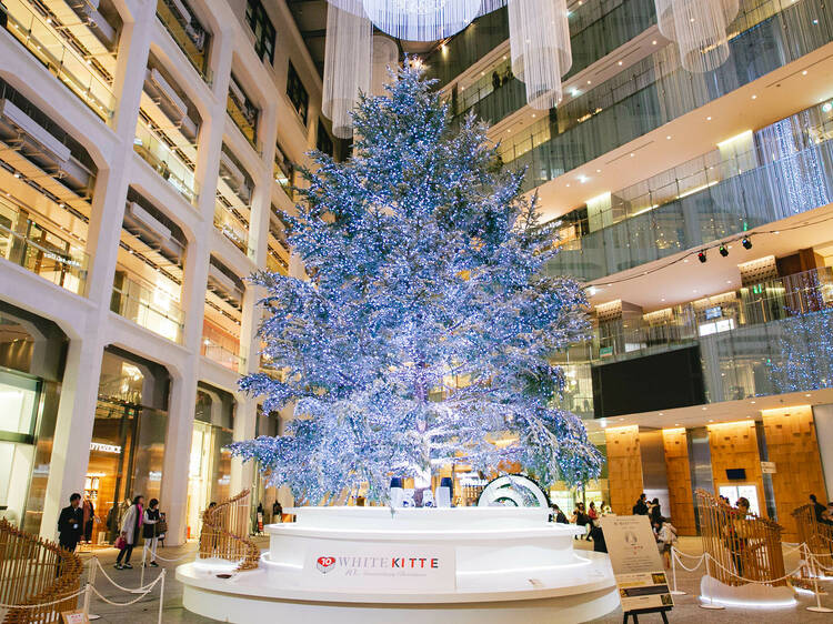 Christmas Tree at White Kitte