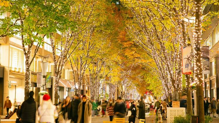 Marunouchi Street Park illumination