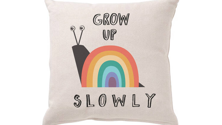 Grow Up Slowly Rainbow Cushion