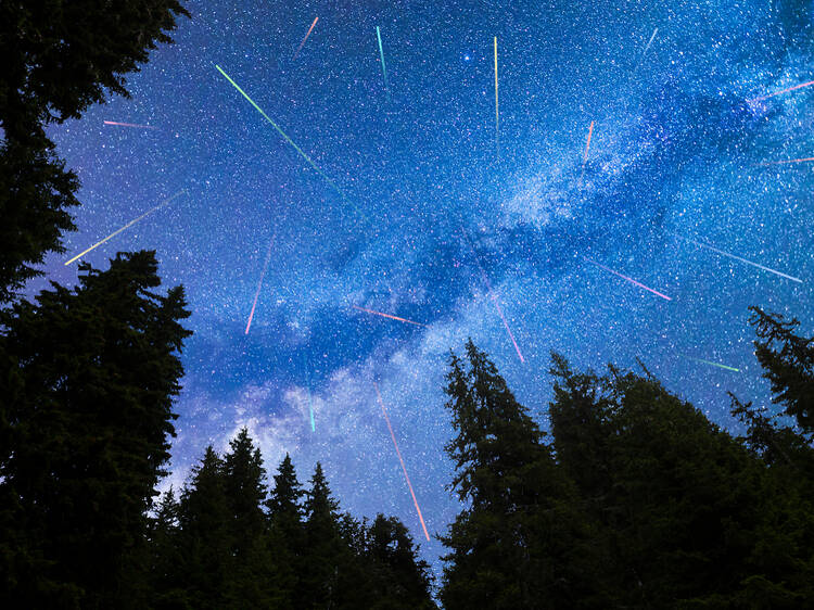 Eyes to the sky: Here's how to see the Geminids meteor shower from Sydney