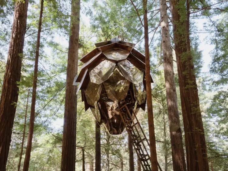 A pinecone treehouse suspended in the sky amongst the Redwood forests of Bonny Doon, California.