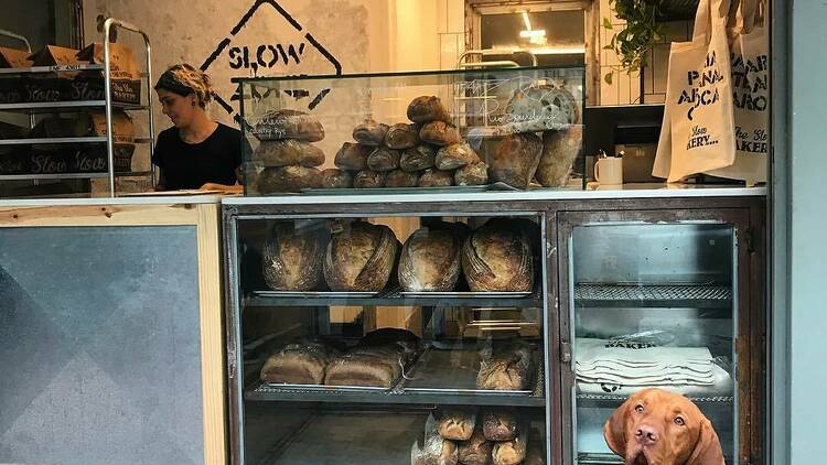 The Slow Bakery