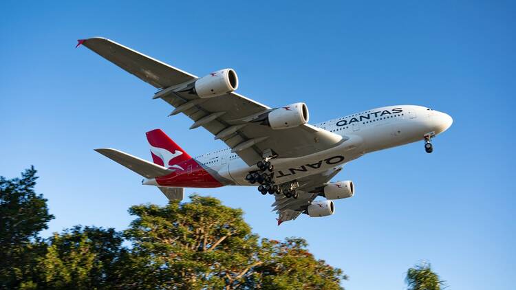 qantas plane in the sky