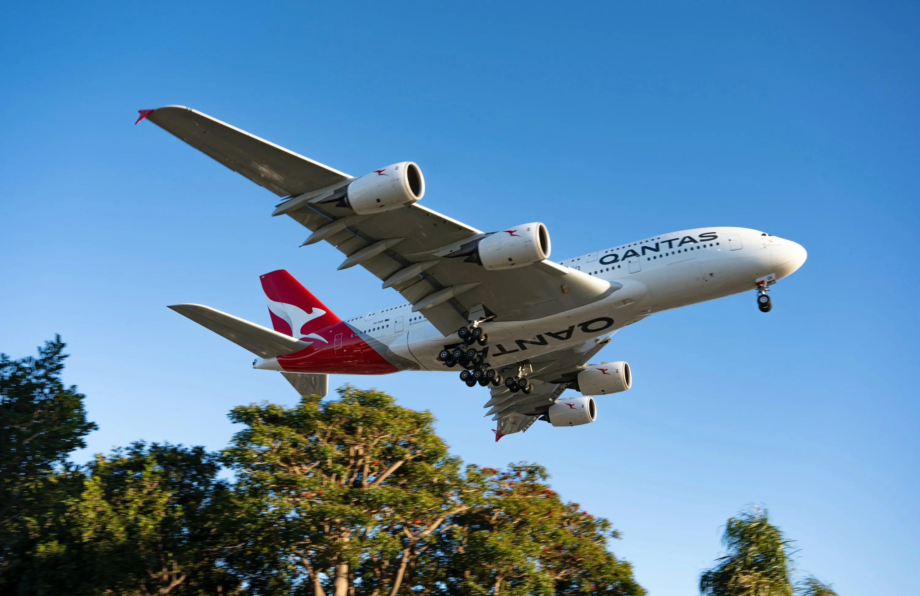 qantas plane in the sky