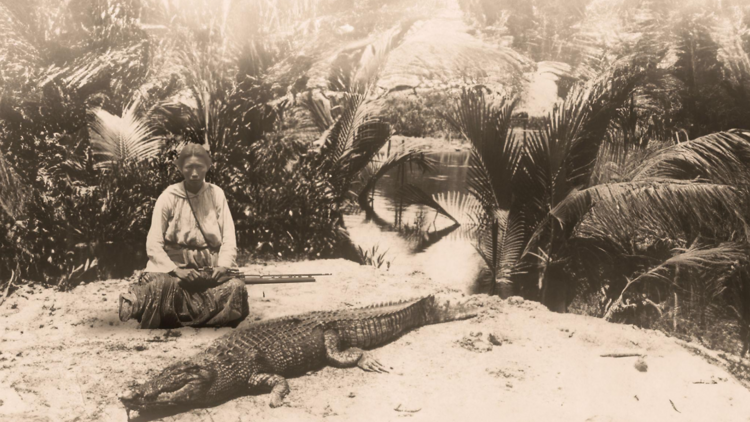 Singapore Crocodile, 1930s (series)