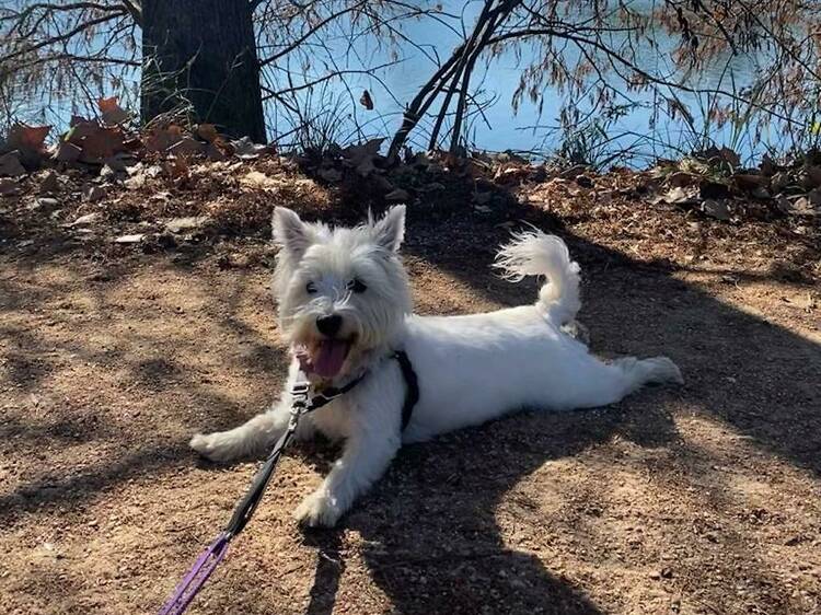 Turkey Creek Trail