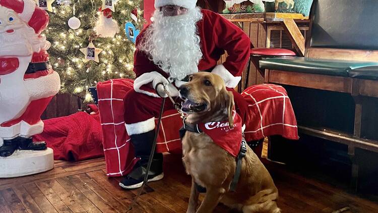 A dog posing with santa