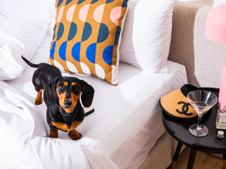 Pet Friendly Hotel - Lisbon Heritage Hotels