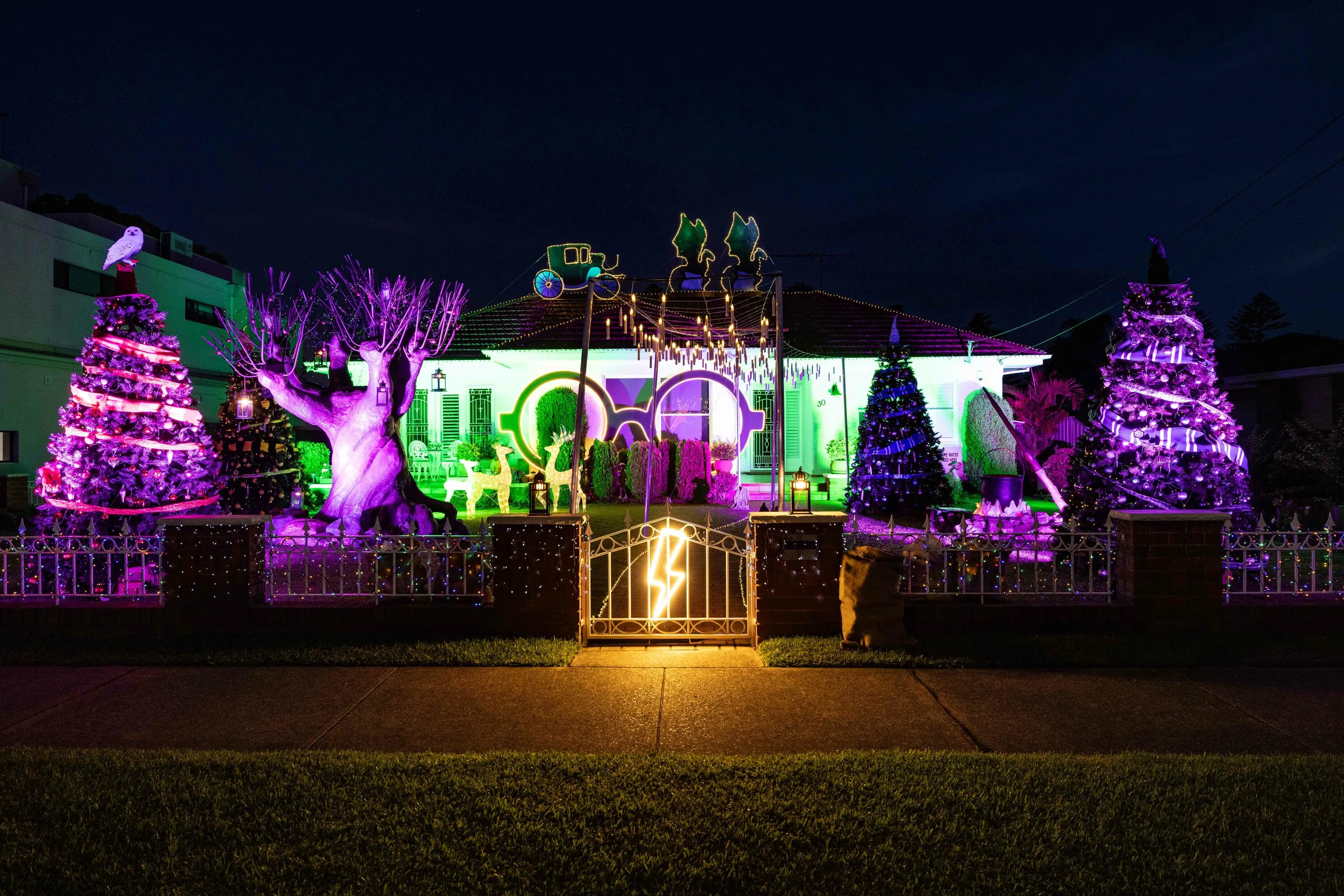 Harry Potter themed Christmas lights display