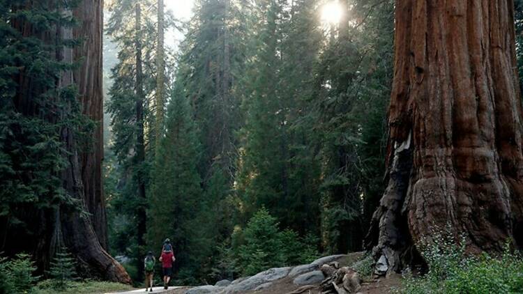 Sequoia National Forest, CA