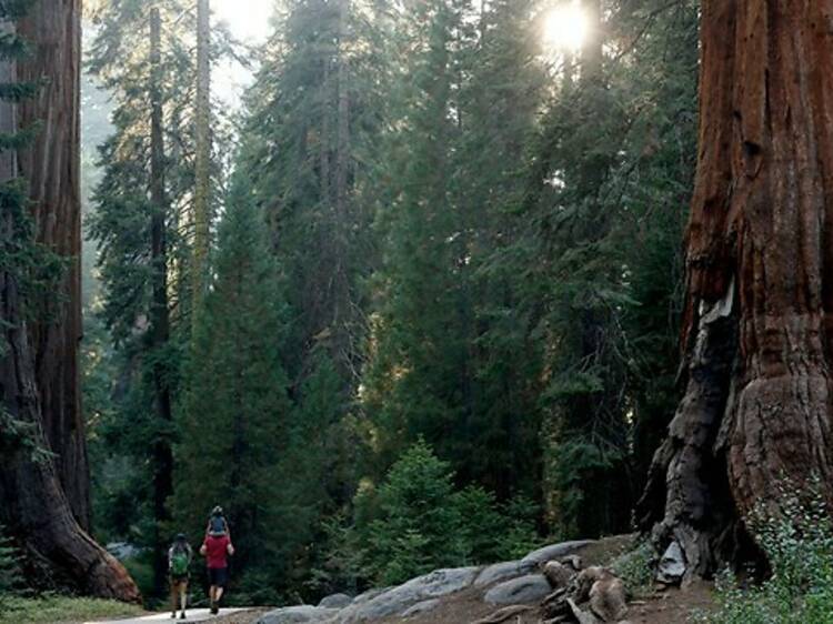 Sequoia National Forest, CA