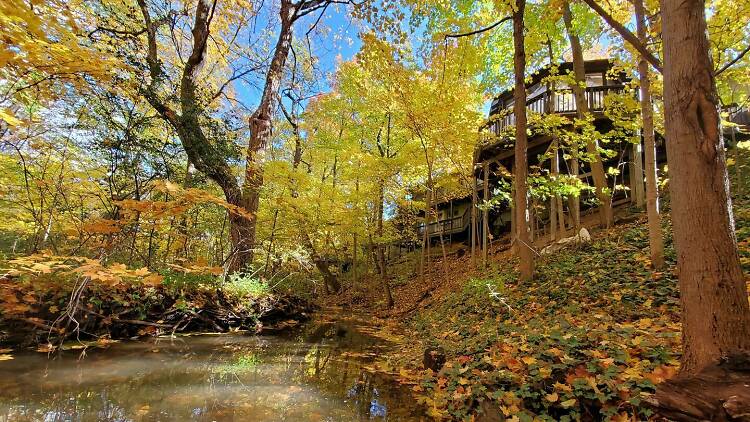 Treehouse Getaway in Racine, WI