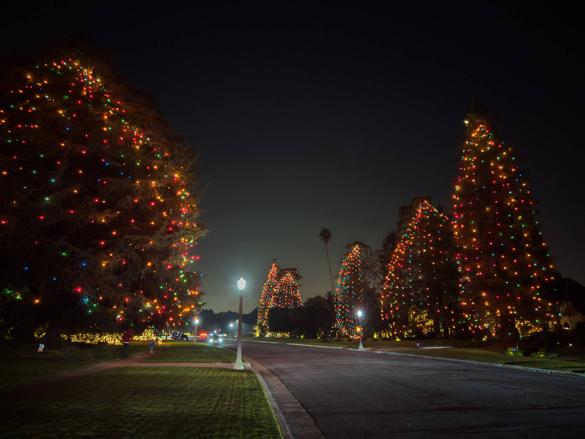 17 Best Places To See Christmas Lights In Los Angeles