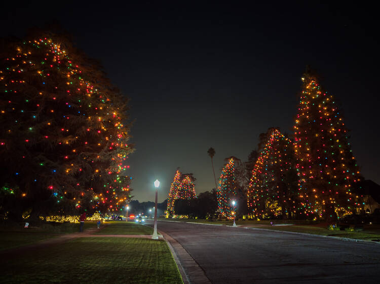 16+ Calhoun Christmas Lights