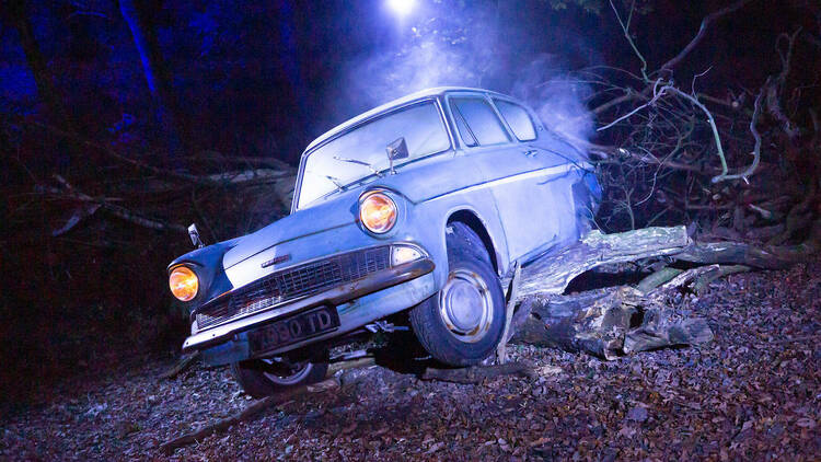The flying car from Harry Potter in the forest. 