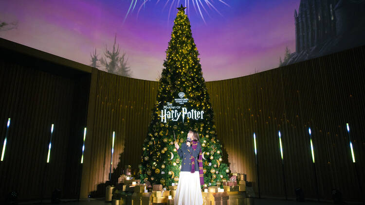 Warner Bros. Studio Tour – The Making of Harry Potter Christmas