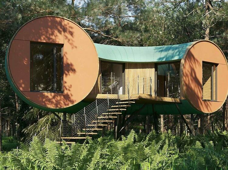 Spend the night in a futuristic treehouse