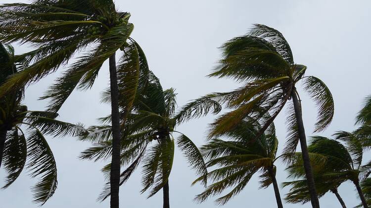 Here's what's cancelled in Miami this weekend due to windy, rainy