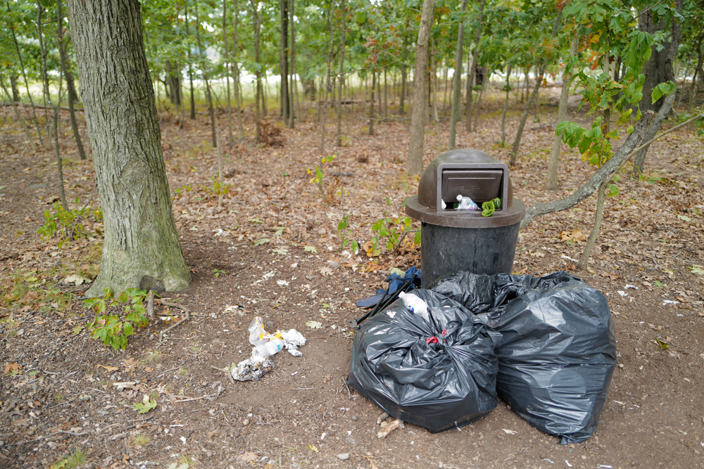 garbage bags and overflowing trash bin at pelham bay park in 2020