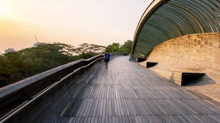 Henderson Waves