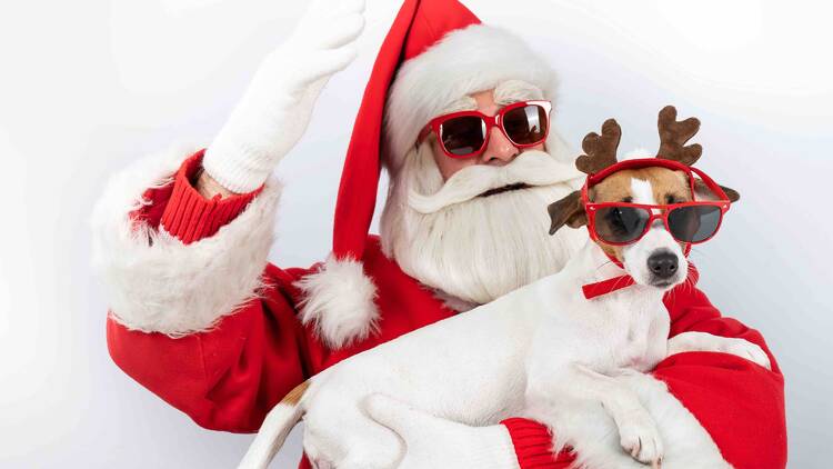 Santa holding a dog