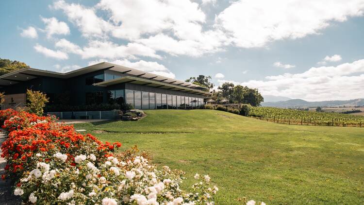 The exterior of a winery set atop a green-grassed hill. 