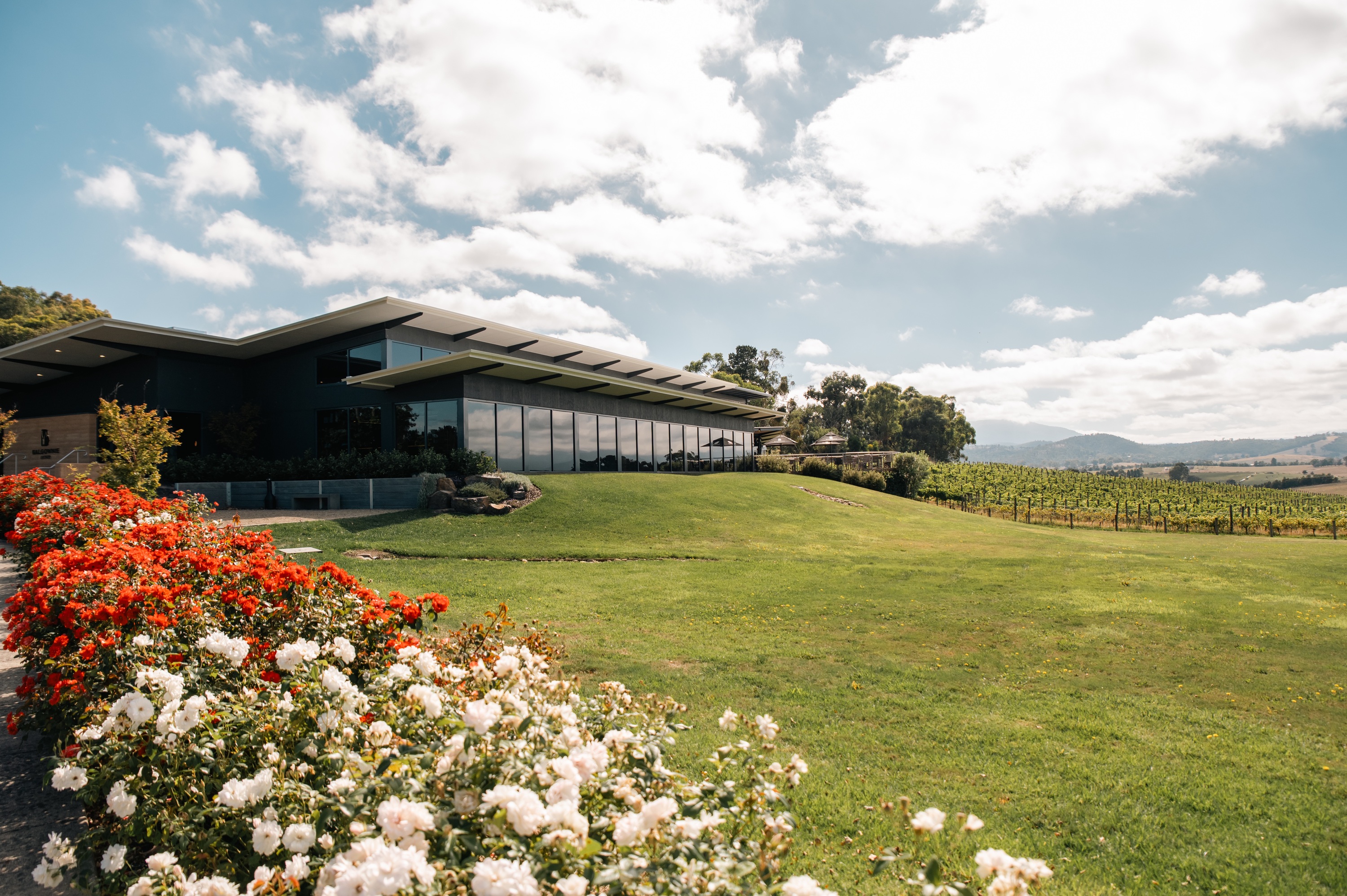 Balgownie Estate offers sleek winery accommodation in the Yarra Valley